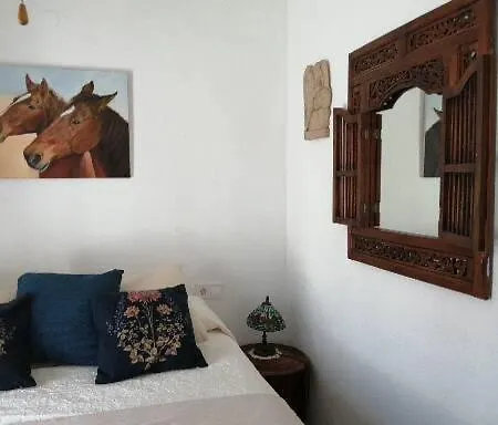 Geoda * Torremolinos