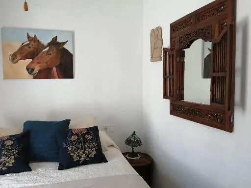 Geoda * Torremolinos